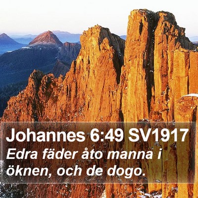 Johannes 6:49 SV1917 Bible Verse Image