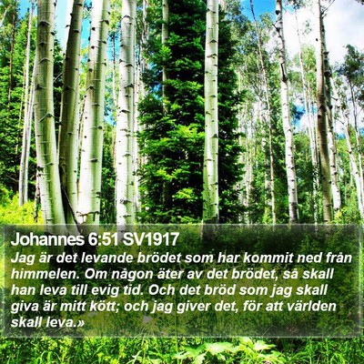 Johannes 6:51 SV1917 Bible Verse Image