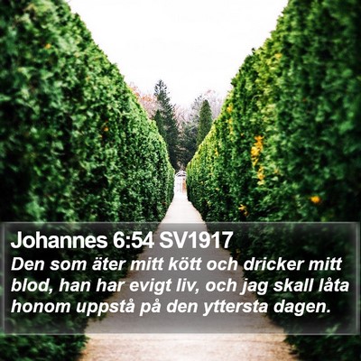 Johannes 6:54 SV1917 Bible Verse Image