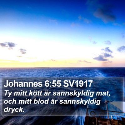 Johannes 6:55 SV1917 Bible Verse Image