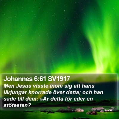 Johannes 6:61 SV1917 Bible Verse Image