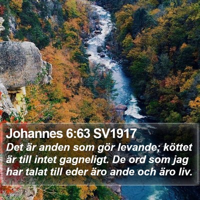 Johannes 6:63 SV1917 Bible Verse Image