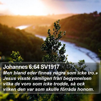 Johannes 6:64 SV1917 Bible Verse Image
