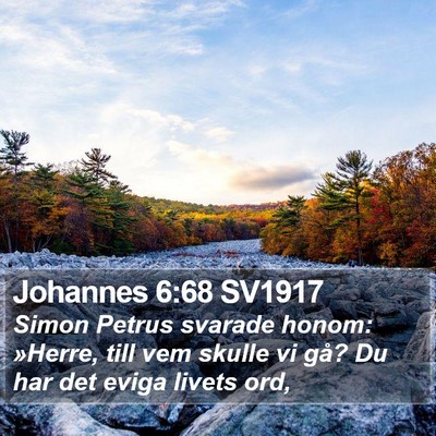Johannes 6:68 SV1917 Bible Verse Image