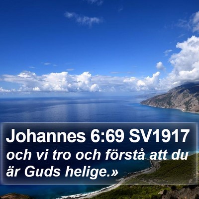 Johannes 6:69 SV1917 Bible Verse Image