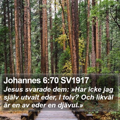 Johannes 6:70 SV1917 Bible Verse Image