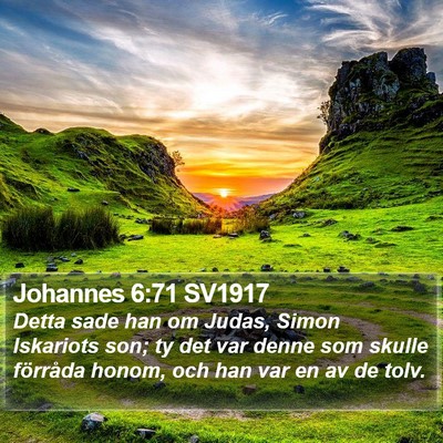 Johannes 6:71 SV1917 Bible Verse Image