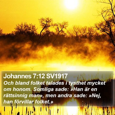 Johannes 7:12 SV1917 Bible Verse Image
