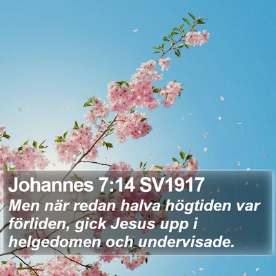 Johannes 7:14 SV1917 Bible Verse Image
