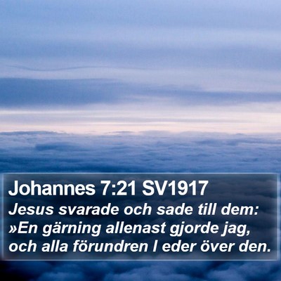 Johannes 7:21 SV1917 Bible Verse Image
