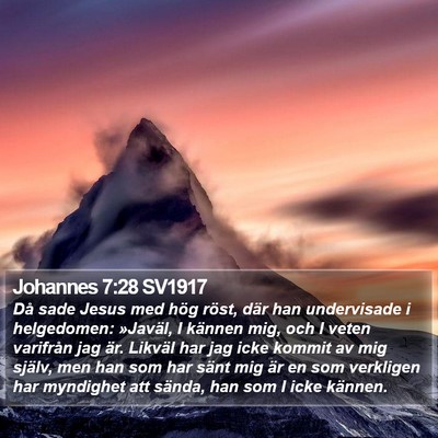 Johannes 7:28 SV1917 Bible Verse Image