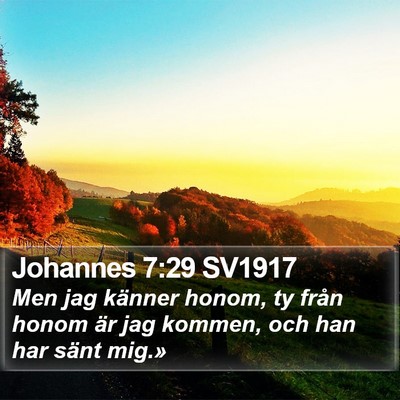 Johannes 7:29 SV1917 Bible Verse Image