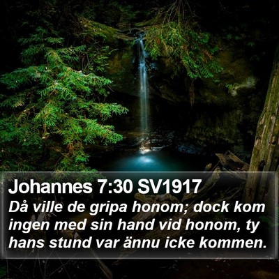 Johannes 7:30 SV1917 Bible Verse Image
