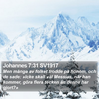 Johannes 7:31 SV1917 Bible Verse Image