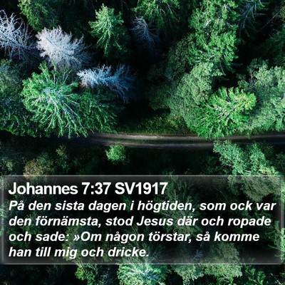 Johannes 7:37 SV1917 Bible Verse Image