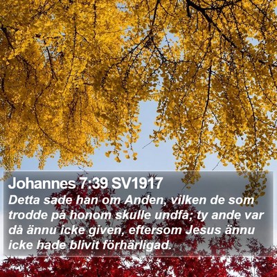 Johannes 7:39 SV1917 Bible Verse Image