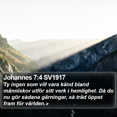 Johannes 7:4 SV1917 Bible Verse Image