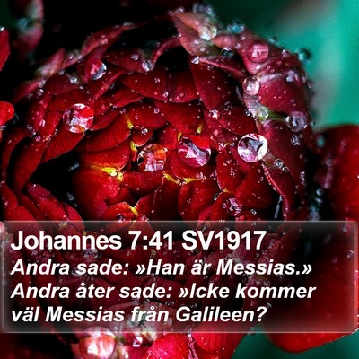Johannes 7:41 SV1917 Bible Verse Image