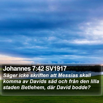 Johannes 7:42 SV1917 Bible Verse Image