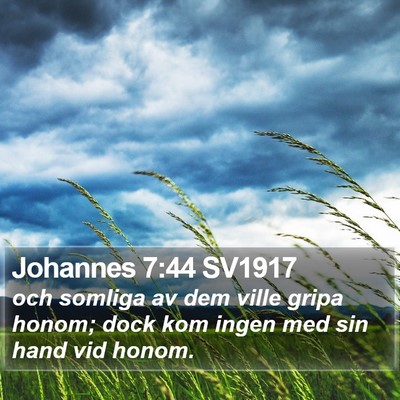 Johannes 7:44 SV1917 Bible Verse Image