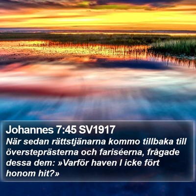 Johannes 7:45 SV1917 Bible Verse Image