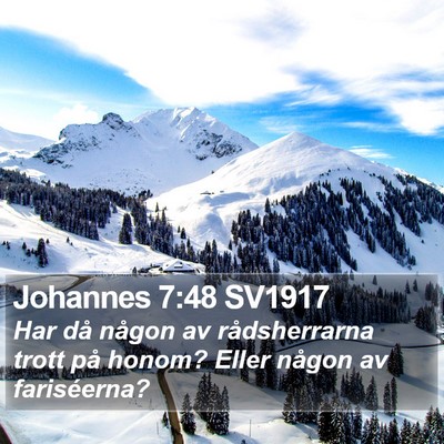 Johannes 7:48 SV1917 Bible Verse Image