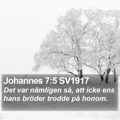 Johannes 7:5 SV1917 Bible Verse Image