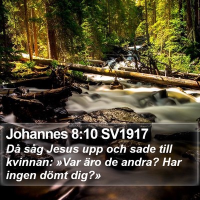 Johannes 8:10 SV1917 Bible Verse Image
