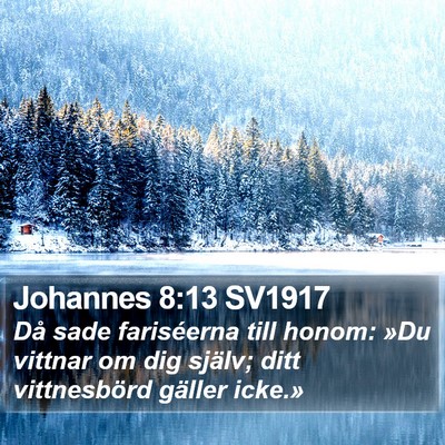 Johannes 8:13 SV1917 Bible Verse Image
