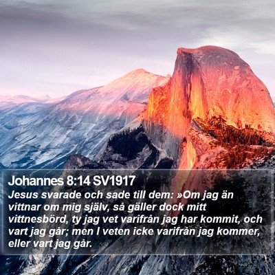 Johannes 8:14 SV1917 Bible Verse Image