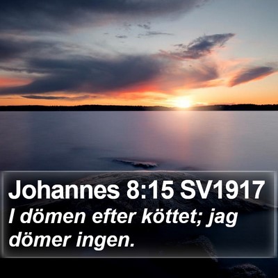 Johannes 8:15 SV1917 Bible Verse Image