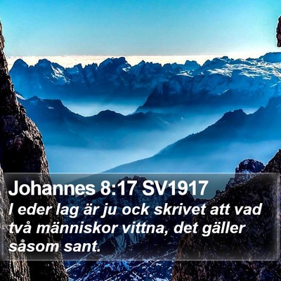 Johannes 8:17 SV1917 Bible Verse Image