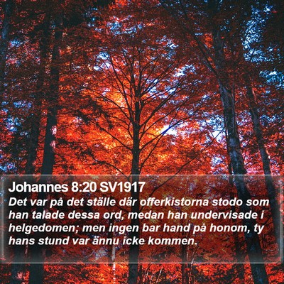 Johannes 8:20 SV1917 Bible Verse Image