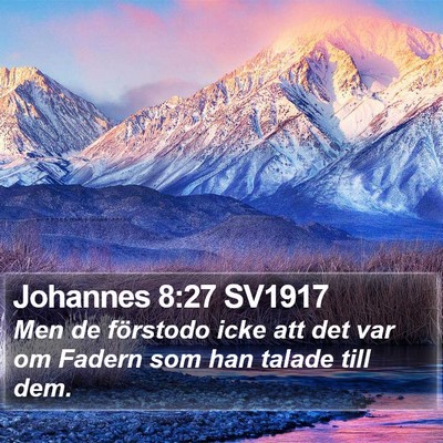 Johannes 8:27 SV1917 Bible Verse Image