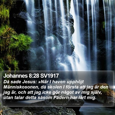 Johannes 8:28 SV1917 Bible Verse Image