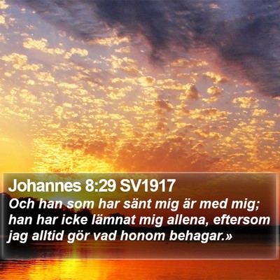 Johannes 8:29 SV1917 Bible Verse Image