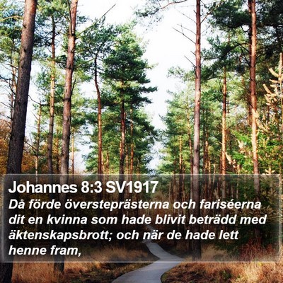 Johannes 8:3 SV1917 Bible Verse Image