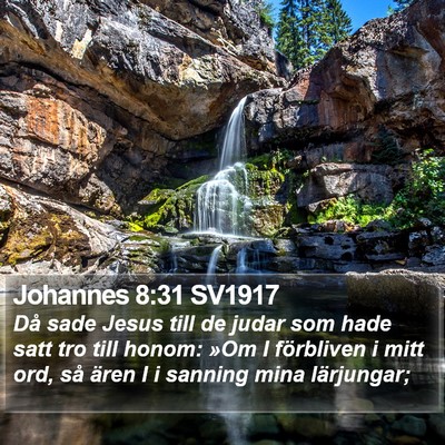 Johannes 8:31 SV1917 Bible Verse Image