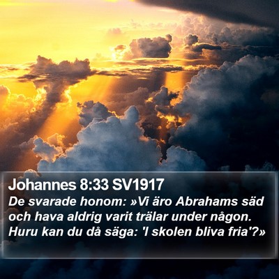 Johannes 8:33 SV1917 Bible Verse Image