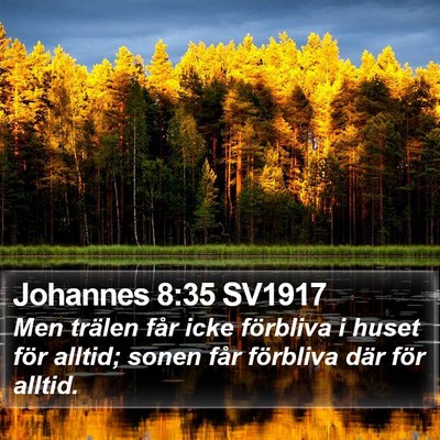 Johannes 8:35 SV1917 Bible Verse Image