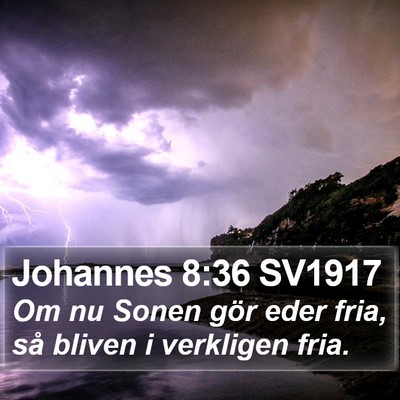 Johannes 8:36 SV1917 Bible Verse Image