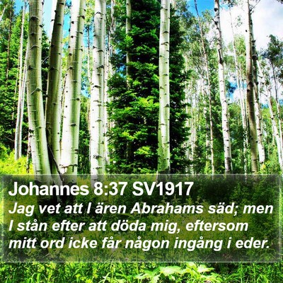 Johannes 8:37 SV1917 Bible Verse Image