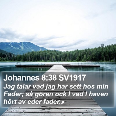 Johannes 8:38 SV1917 Bible Verse Image