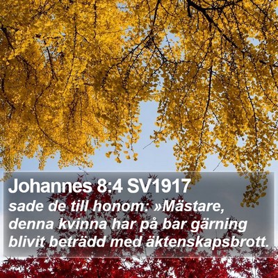 Johannes 8:4 SV1917 Bible Verse Image