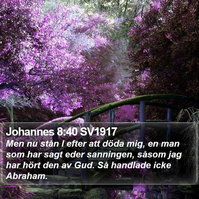 Johannes 8:40 SV1917 Bible Verse Image