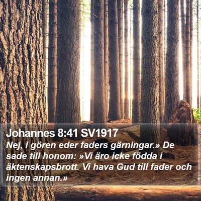 Johannes 8:41 SV1917 Bible Verse Image