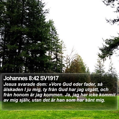 Johannes 8:42 SV1917 Bible Verse Image