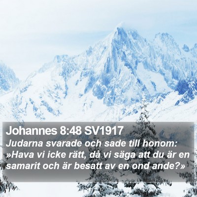 Johannes 8:48 SV1917 Bible Verse Image