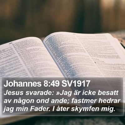 Johannes 8:49 SV1917 Bible Verse Image