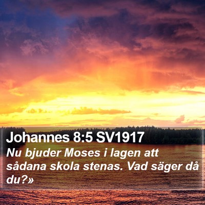 Johannes 8:5 SV1917 Bible Verse Image